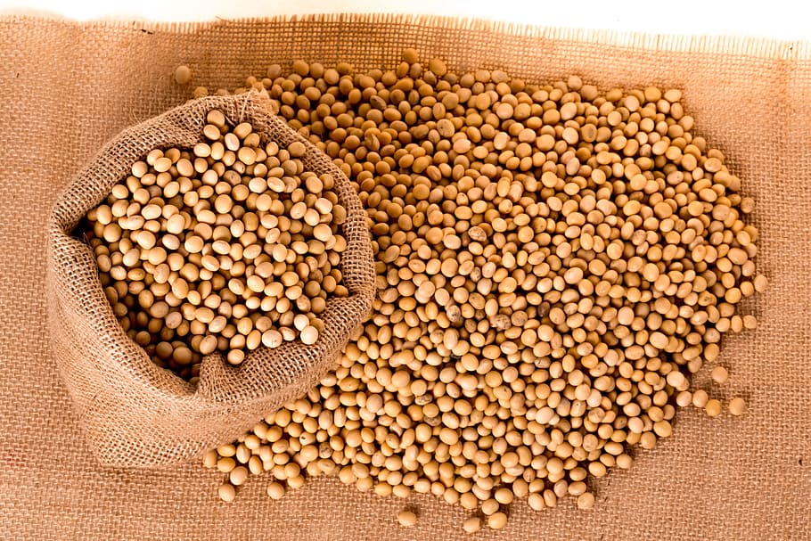 Куплю зерно